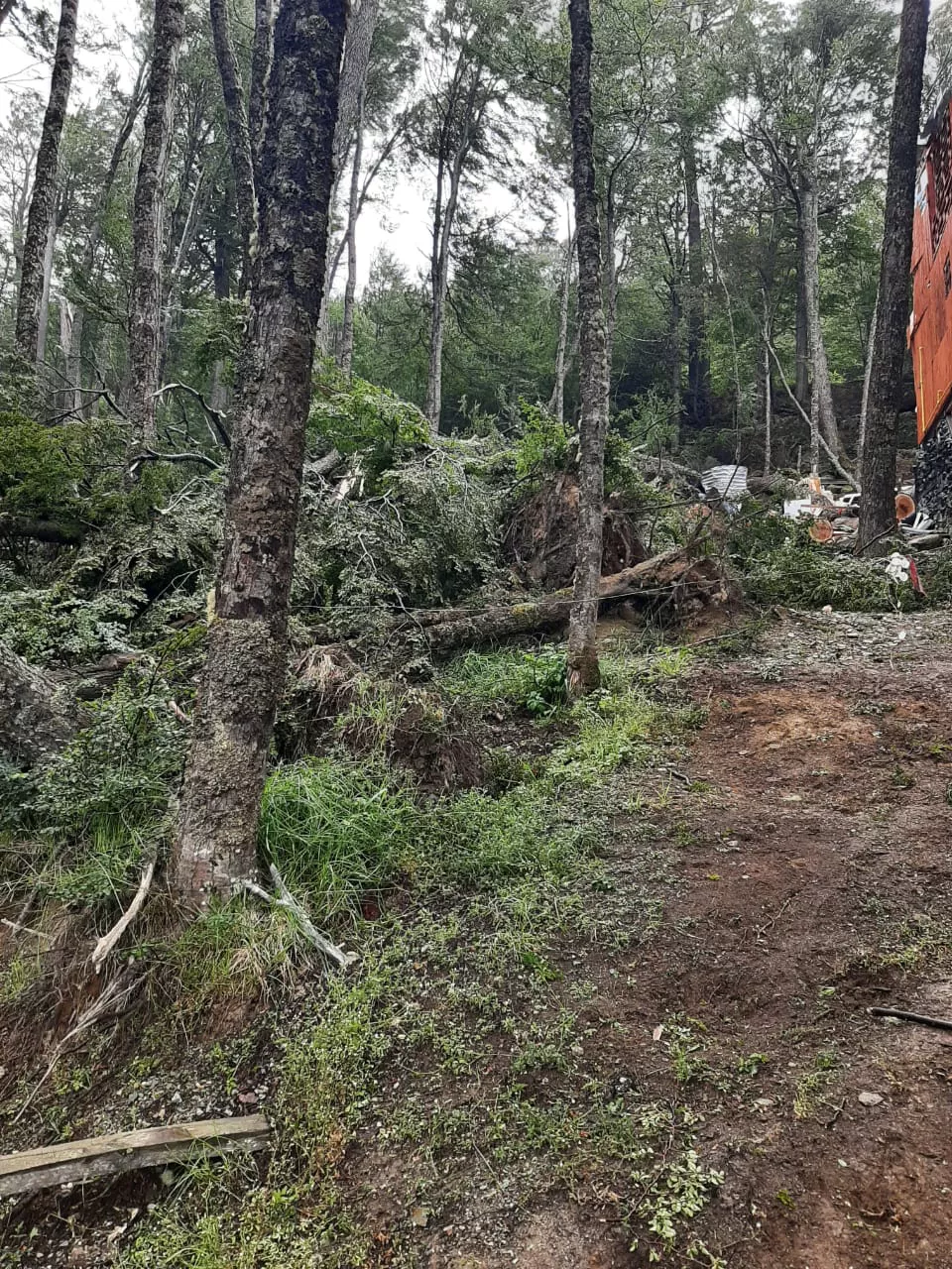 WhatsApp Image 2022-02-13 at 17.19.45