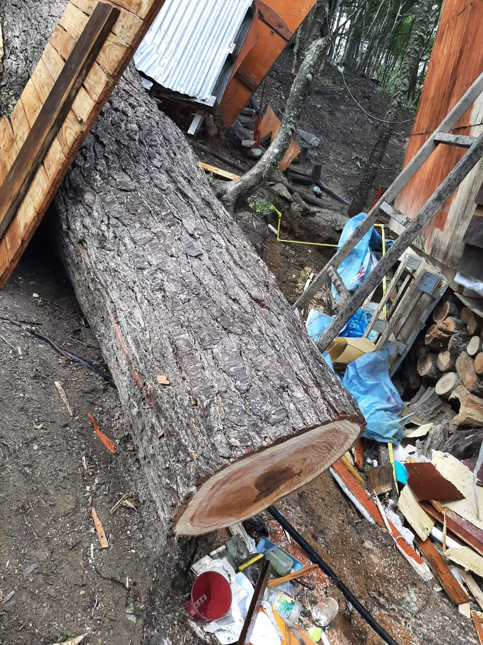 WhatsApp Image 2022-02-13 at 17.19.47