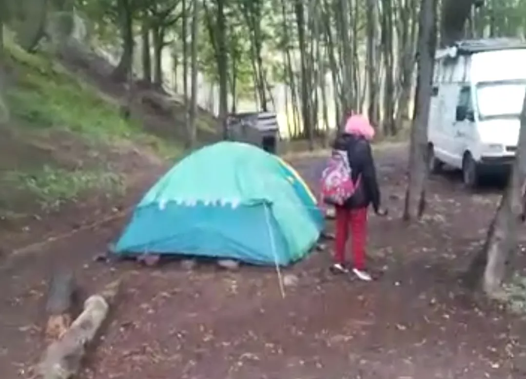 Screenshot_20230114-120217_WhatsApp