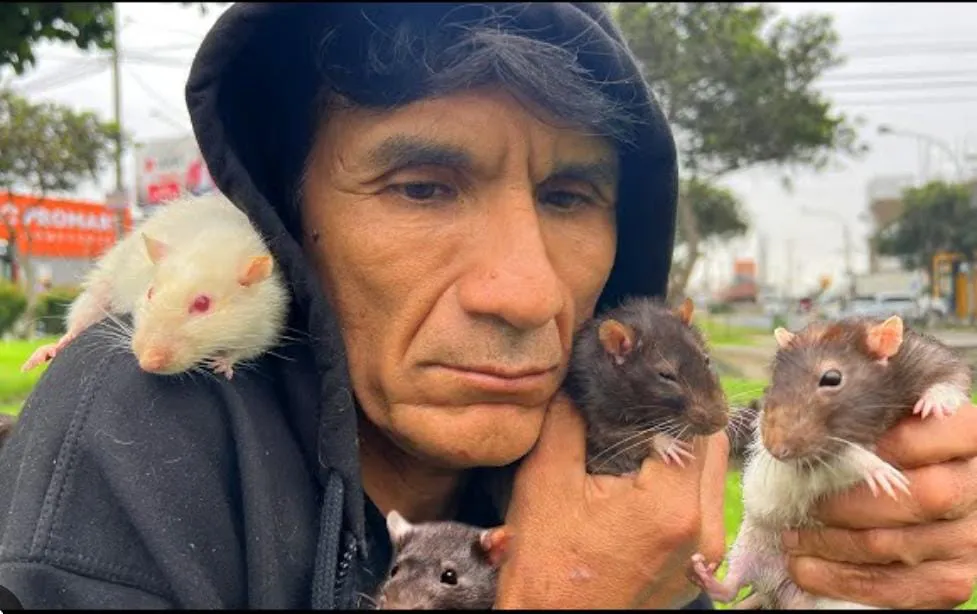RATA